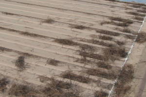 Repair Reo Property Home Yard Misc - Repair