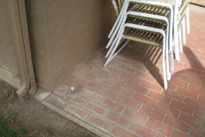 Repair Reo Property Home Yard Misc - Repair