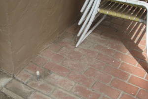 Repair Reo Property Home Yard Misc - Repair