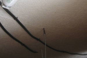 Repair Reo Property Plumbing Electrical Misc - Repair