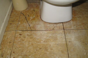 Repair Reo Property Plumbing Electrical Misc - Repair