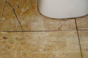 Repair Reo Property Plumbing Electrical Misc - Repair