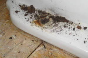 Repair Reo Property Plumbing Electrical Misc - Repair