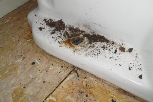 Repair Reo Property Plumbing Electrical Misc - Repair