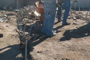 Repair Reo Property Storage Shed Demo - Repair