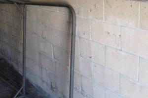Repair Reo Property Storage Shed Demo - Repair
