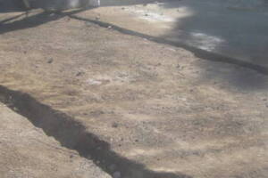 Repair Reo Property Storage Shed Demo - Repair