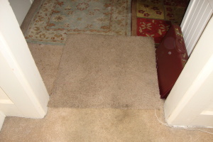 Repair Reo Property Temp Wheelchair Ramp - Repair