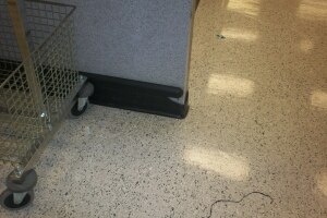 Repair Retail Cashwrap Bumpers Covebase - Repair