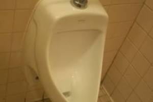 Repair Retail Emergency Urinal Repair - Repair