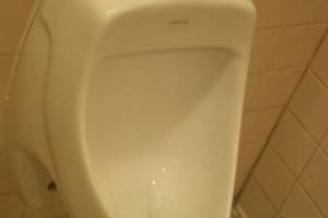 Repair Retail Emergency Urinal Repair - Repair
