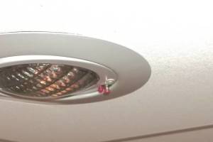 Repair Retail Light Fixture Repair - Repair