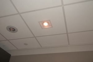 Repair Retail Light Fixture Repair - Repair