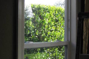 Repair Screen Window Balance Replaced - Repair