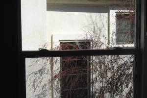 Repair Screen Window Balance Replaced - Repair