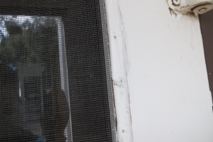 Repair Screen Window Door Rescreening - Repair
