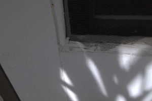 Repair Screen Window Door Rescreening - Repair