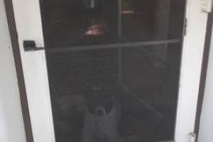 Repair Screen Window Door Rescreening - Repair