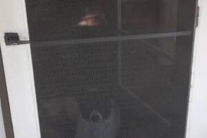 Repair Screen Window Door Rescreening - Repair