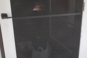 Repair Screen Window Door Rescreening - Repair