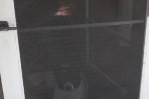 Repair Screen Window Door Rescreening - Repair