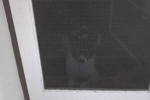 Repair Screen Window Door Rescreening - Repair