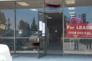 Repair Screen Window Storefront Lettering Removed - Repair