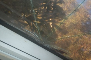 Repair Screen Window Sun Room Replace - Repair