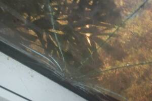 Repair Screen Window Sun Room Replace - Repair