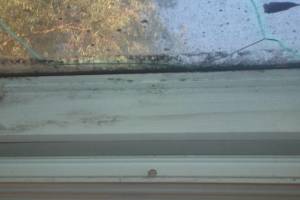 Repair Screen Window Sun Room Replace - Repair