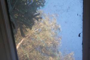 Repair Screen Window Sun Room Replace - Repair