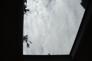 Repair Screen Window Sun Room Replace - Repair