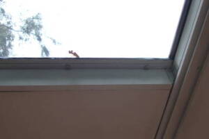 Repair Screen Window Sun Room Replace - Repair