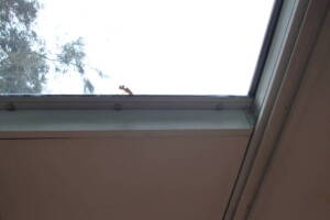 Repair Screen Window Sun Room Replace - Repair