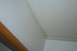 Repair Drop Ceiling Stained Replaced - Repair