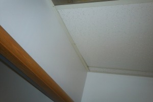 Repair Drop Ceiling Stained Replaced - Repair