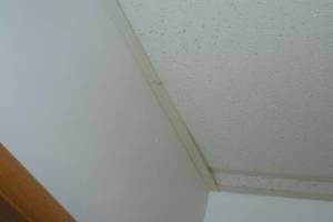 Repair Drop Ceiling Stained Replaced - Repair