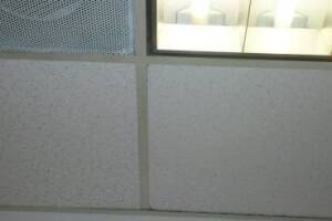 Repair Drop Ceiling Stained Replaced - Repair
