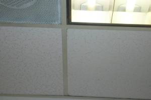 Repair Drop Ceiling Stained Replaced - Repair