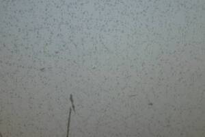 Repair Drop Ceiling Stained Replaced - Repair