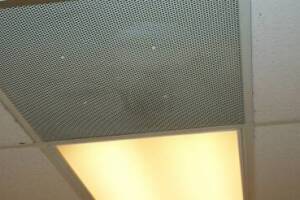 Repair Drop Ceiling Stained Replaced - Repair