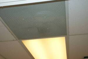 Repair Drop Ceiling Stained Replaced - Repair