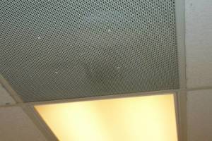 Repair Drop Ceiling Stained Replaced - Repair