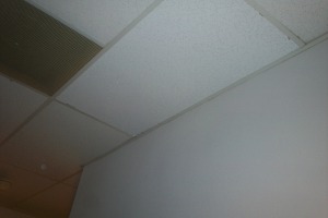 Repair Drop Ceiling Stained Replaced - Repair