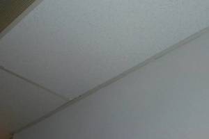 Repair Drop Ceiling Stained Replaced - Repair
