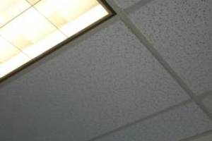 Repair Drop Ceiling Stained Replaced - Repair
