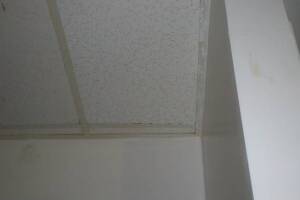 Repair Drop Ceiling Stained Replaced - Repair