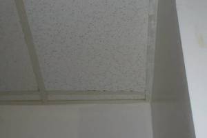 Repair Drop Ceiling Stained Replaced - Repair