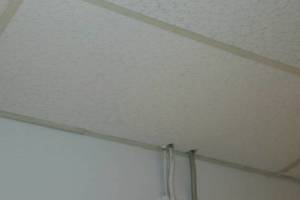Repair Drop Ceiling Stained Replaced - Repair