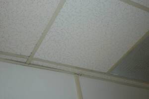 Repair Drop Ceiling Stained Replaced - Repair